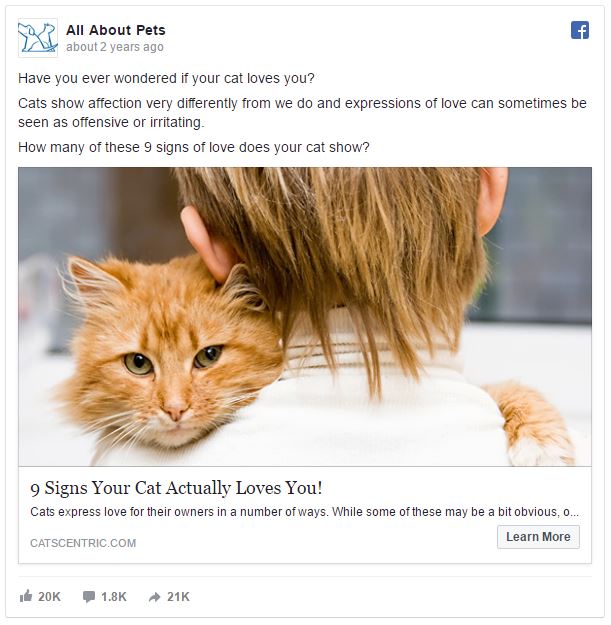 facebook ads pets